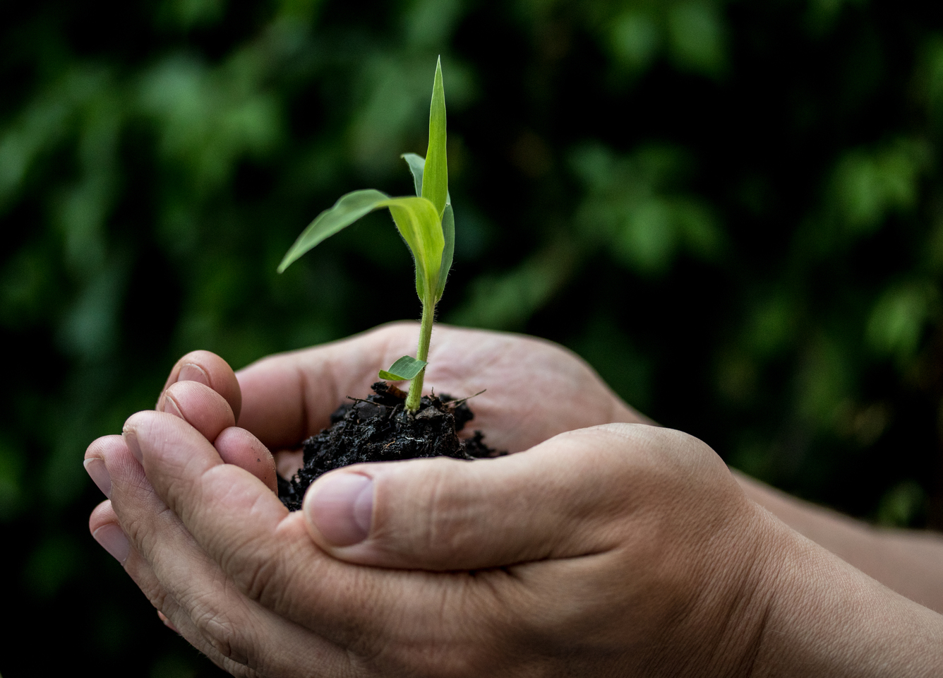 Klimaschutz mit Augenmaß Klimaschutz mit Augenmaß